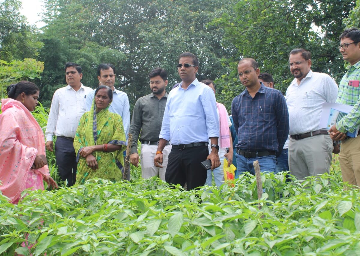 जैविक खेती