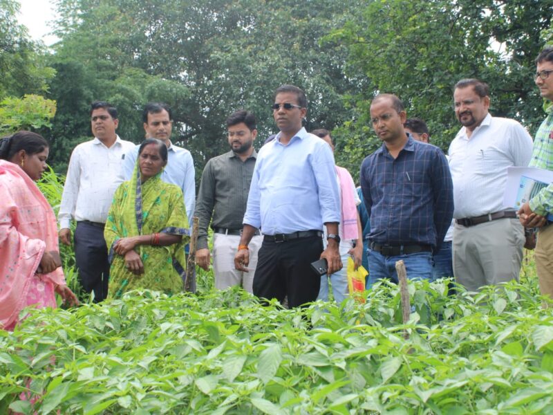 जैविक खेती