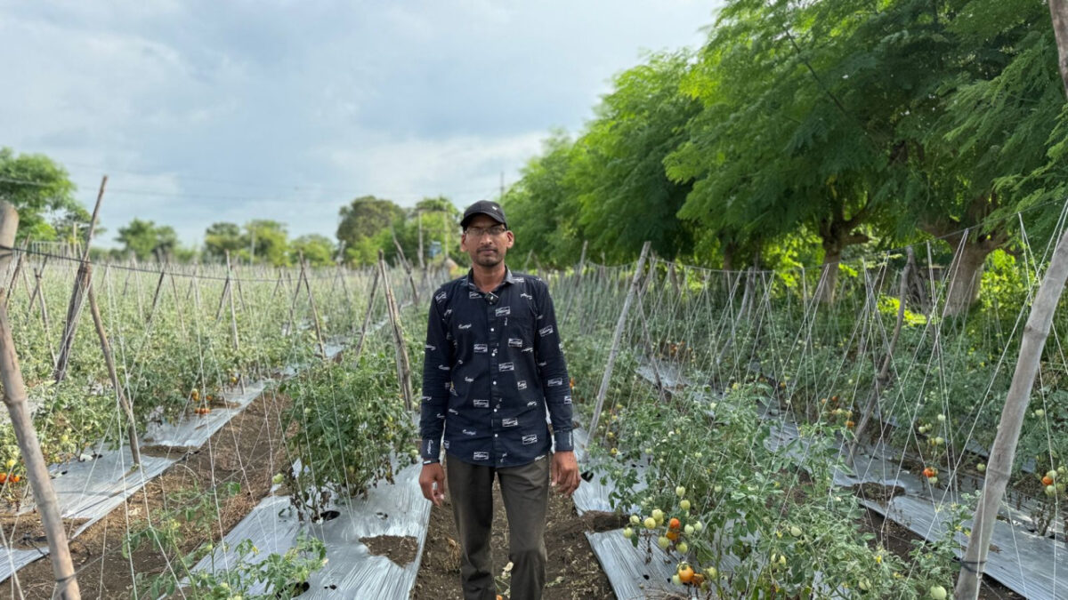 सब्जी की आधुनिक खेती