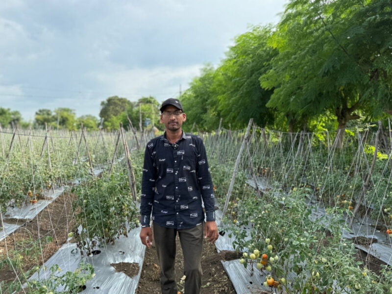 सब्जी की आधुनिक खेती
