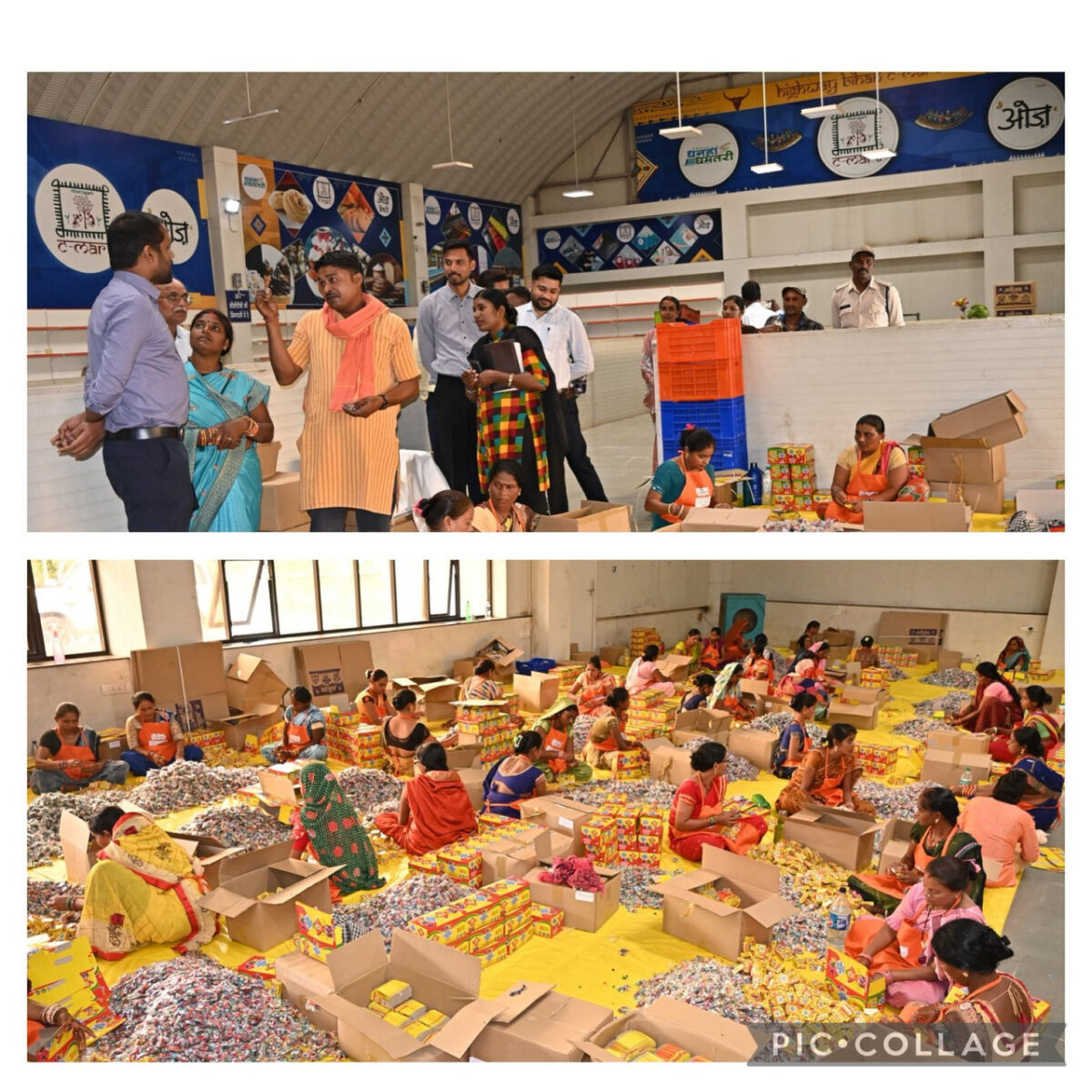 महिलाओं को मिला रोजगार