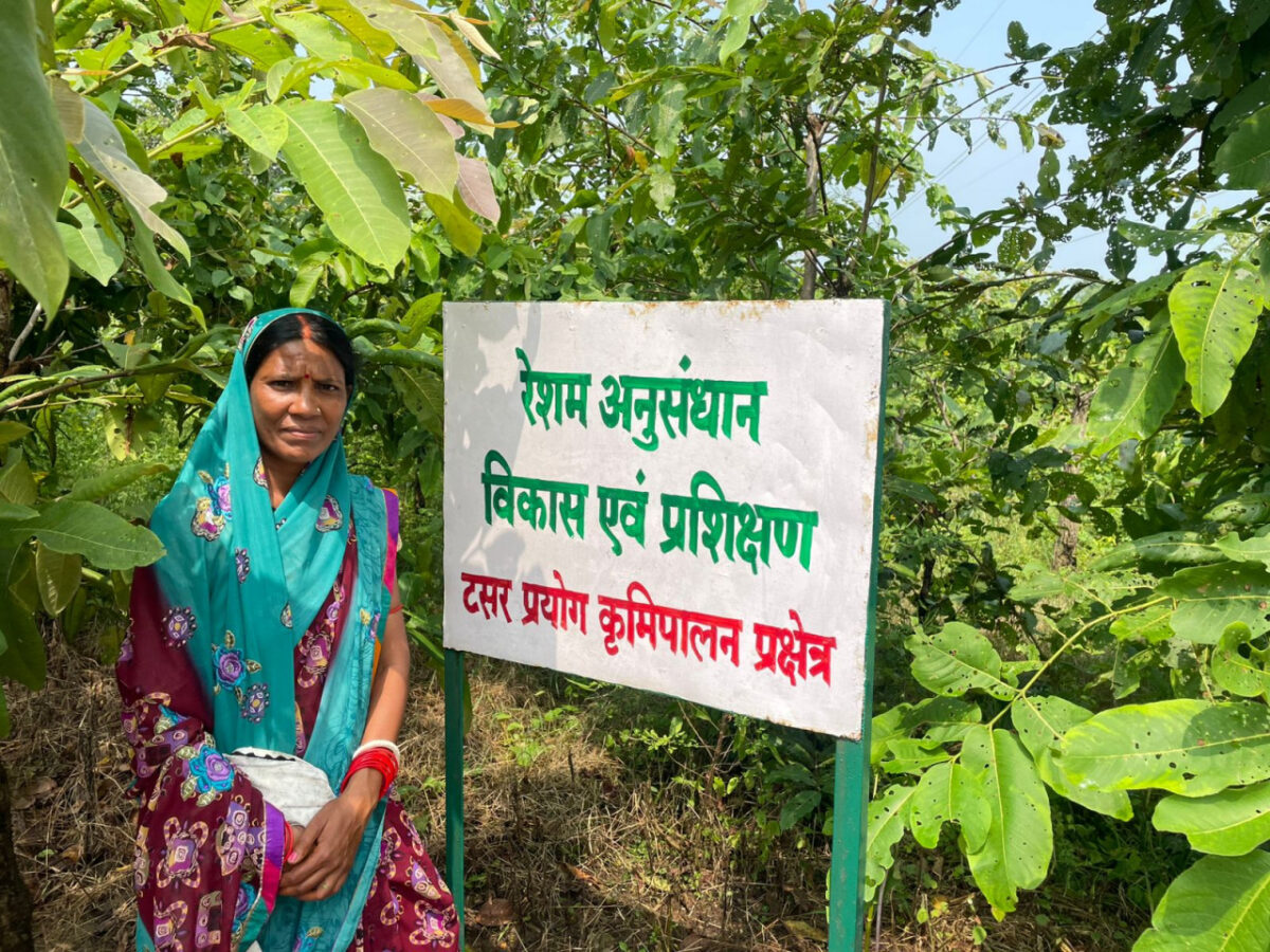 धैर्य और मेहनत