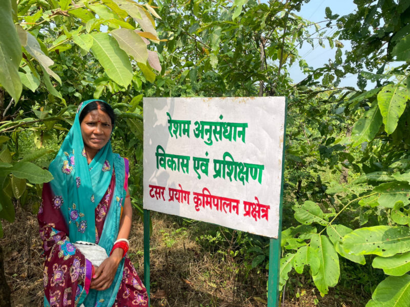 धैर्य और मेहनत