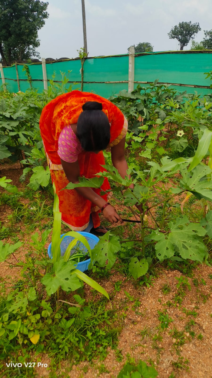 स्कूल किचन गार्डन पहल
