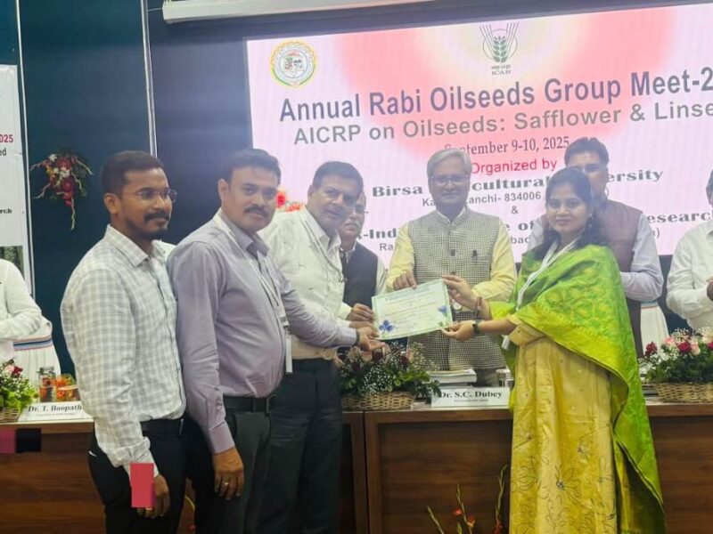 अलसी परियोजना