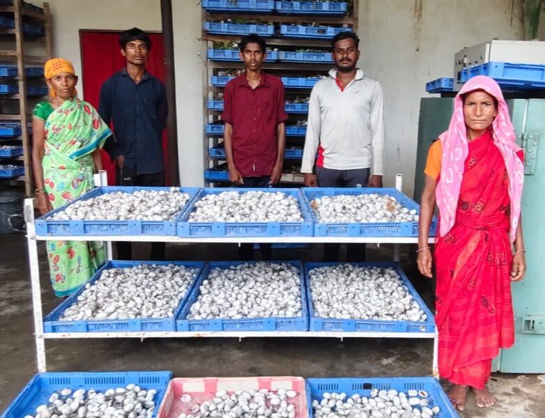 दंतेवाड़ा की महिलाएं