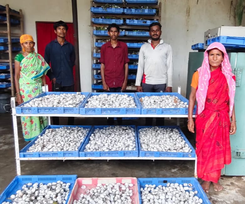 दंतेवाड़ा की महिलाएं