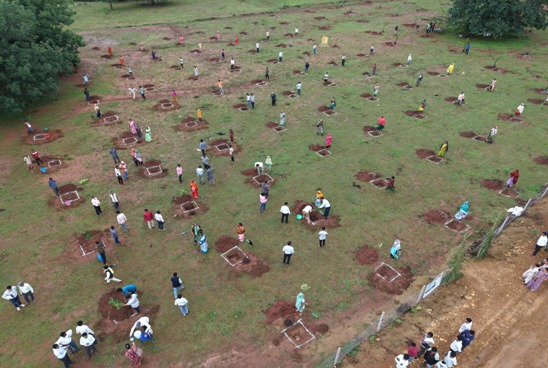 फलदार वृक्षों की खेती