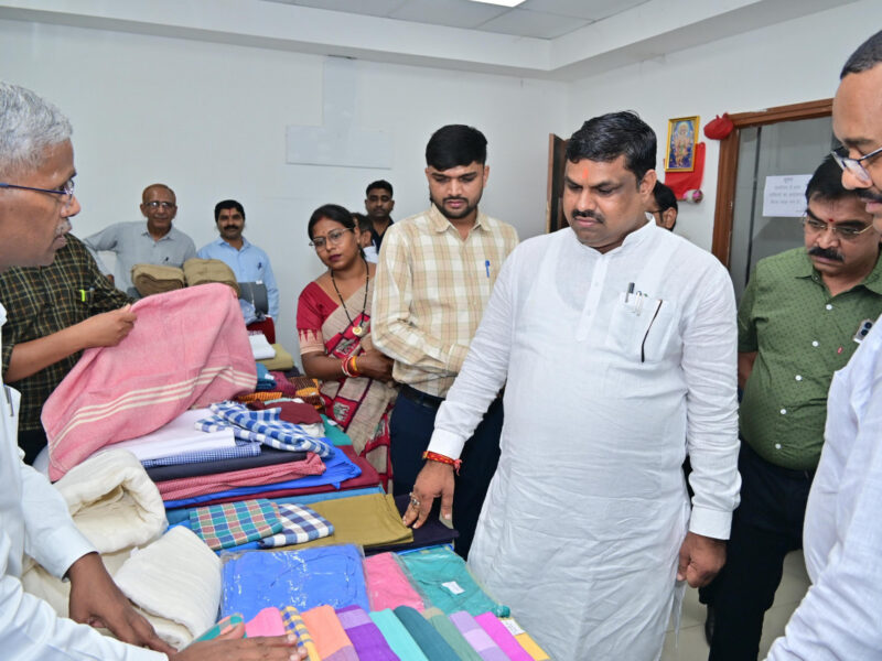 हाथकरघा विकास