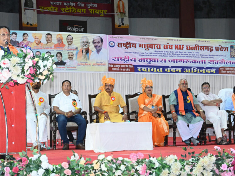 शिक्षा का महत्व