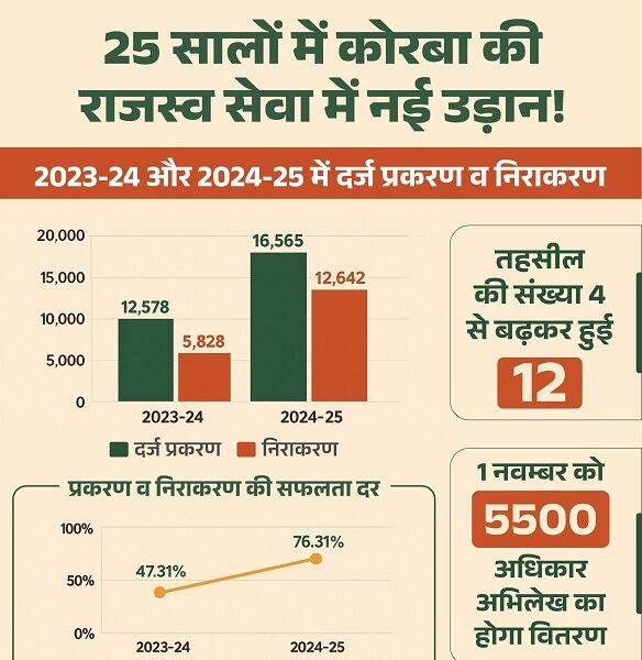 राजस्व सेवा