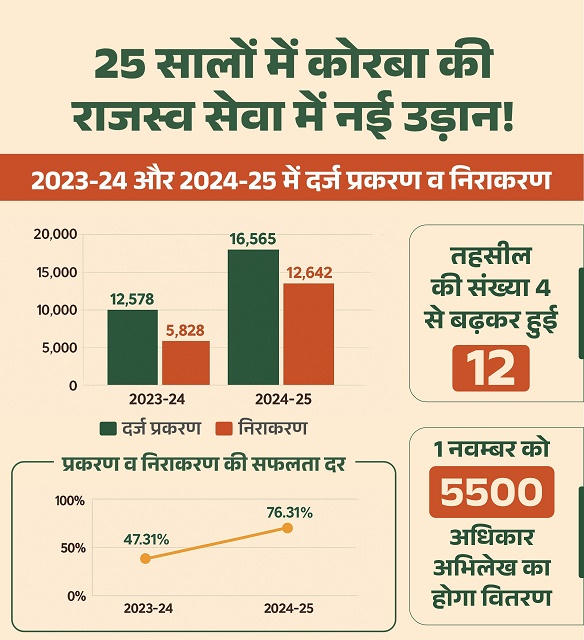 राजस्व सेवा