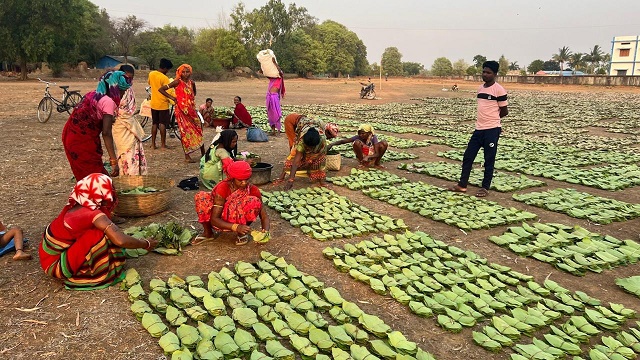 ईको टूरिज्म से बढ़ी समृद्धि