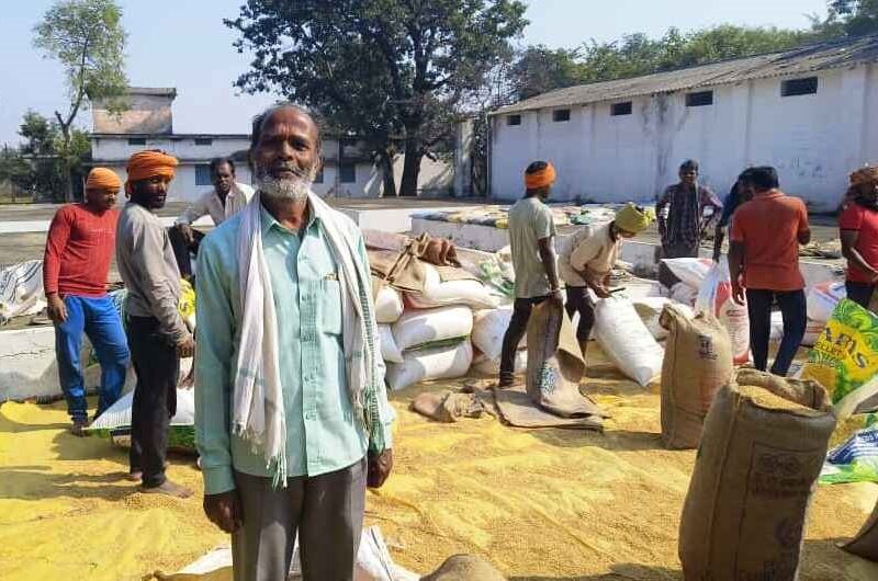 3100 रुपये प्रति क्विंटल