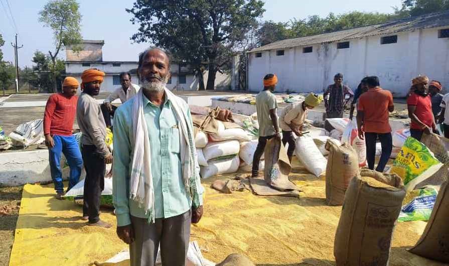 3100 रुपये प्रति क्विंटल