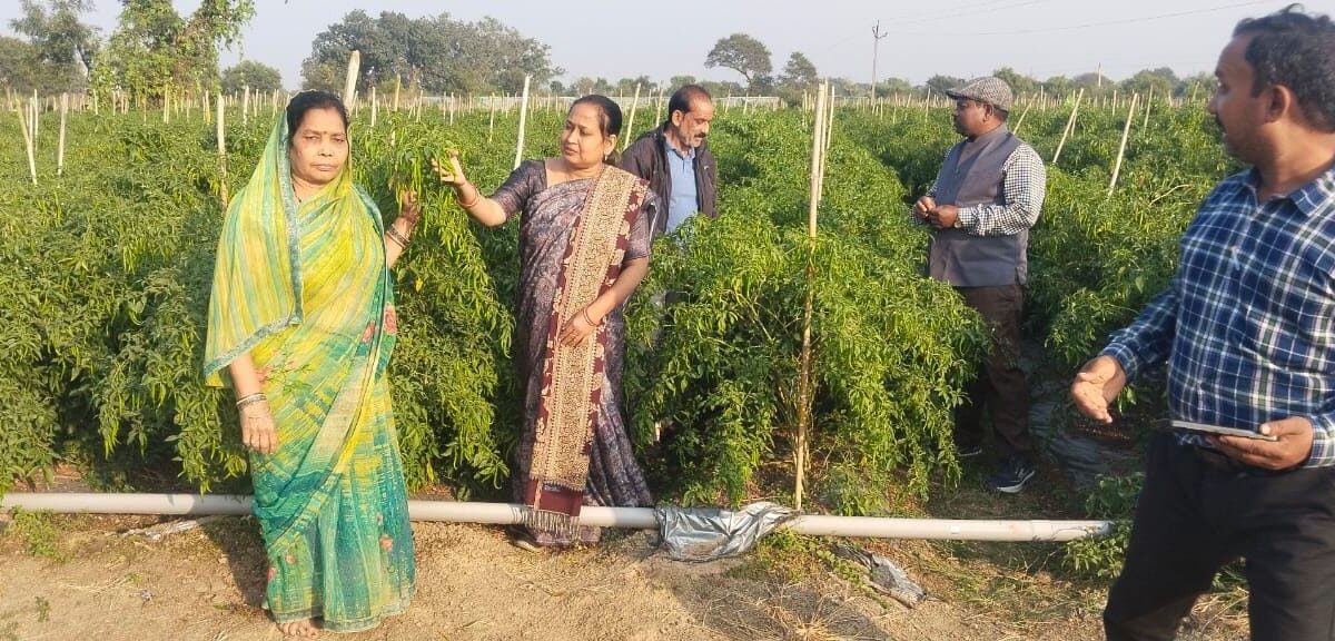 कृषि विभाग