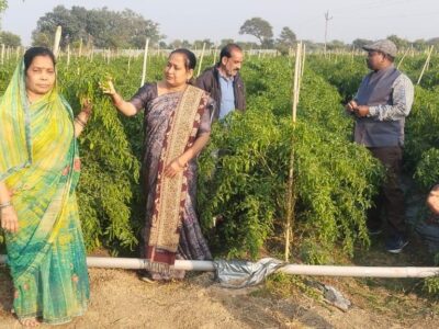 ड्रिप तकनीक से बदली खेती की तस्वीर