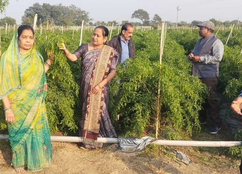 कृषि विभाग