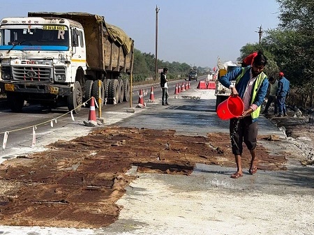 वृक्षारोपण