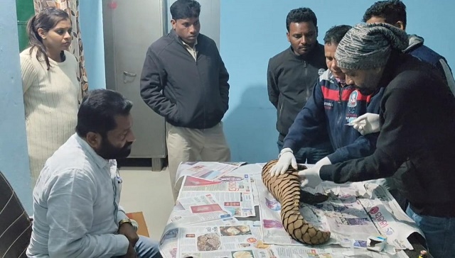 वन विभाग