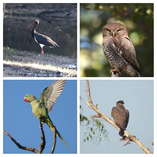 वन मंत्री श्री केदार कश्यप