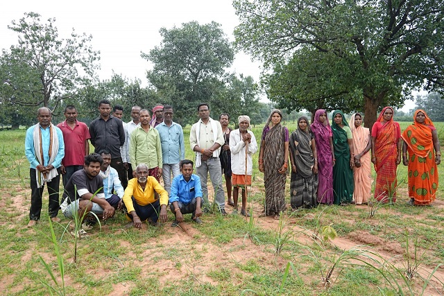 लेमनग्रास की खेती