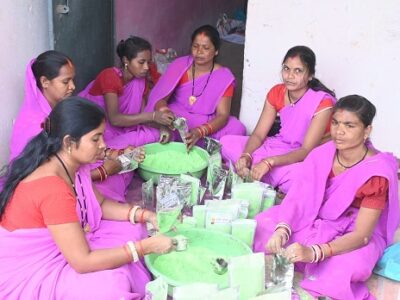 होली पर केमिकल रंगों की छुट्टी! छत्तीसगढ़ की दीदियां फूलों और सब्जियों से बना रहीं प्राकृतिक गुलाल