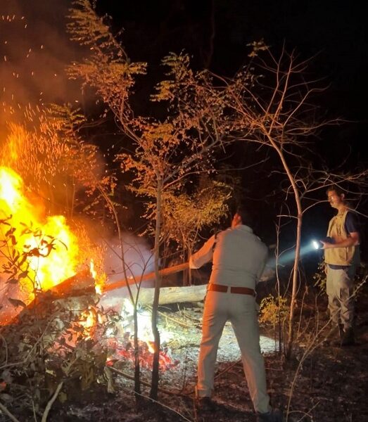 Chhattisgarh Forest Department