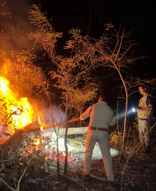 Chhattisgarh Forest Department