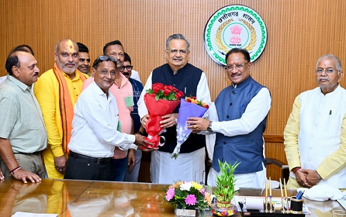 क्रिकेट अकादमी