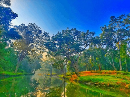 विश्व पर्यावरण दिवस